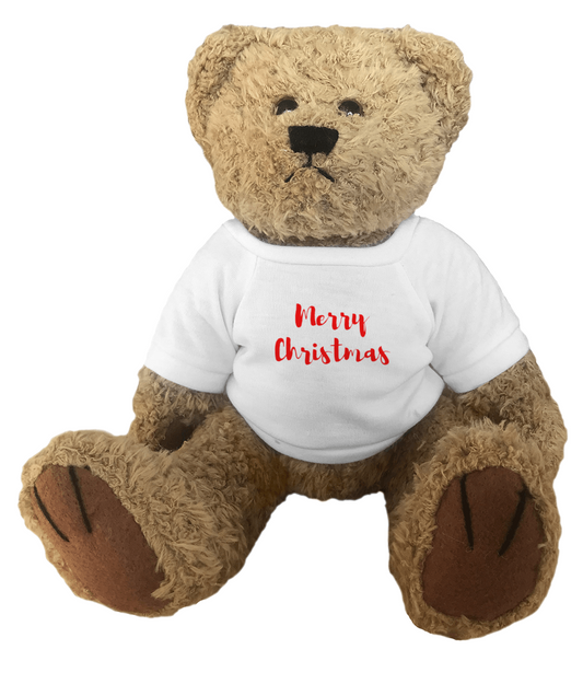 Merry Christmas Teddy Bear